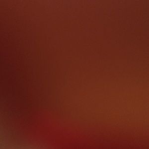 Meet your Posher, Megha